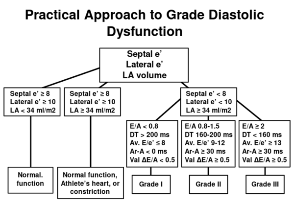 Practical approach to LV diastolic function grading. Ater [2]