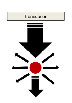 PhysicsUltrasound Fig16.svg