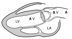 Continuty equation.svg