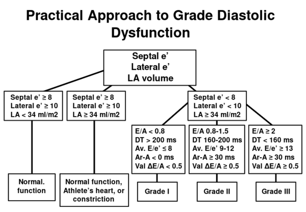 Practical approach to LV diastolic function grading. Ater ASEDF
