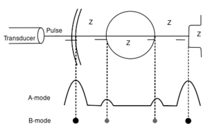 PhysicsUltrasound Fig28.svg